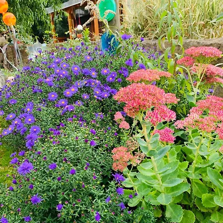 Apartment Kleines Glück *